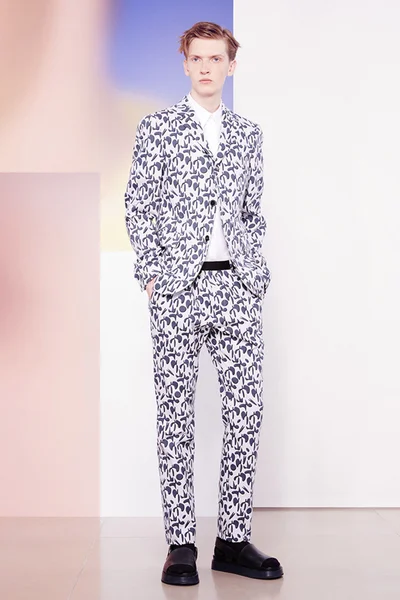 Look 13